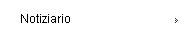 Notiziario